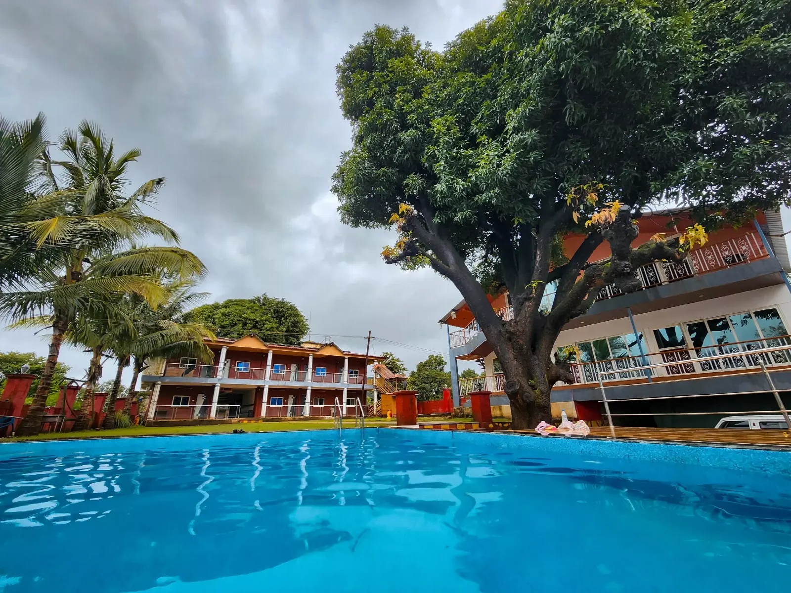 Pool beneath the old mango tree